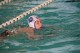 Thumbs/tn_IMG_8539.jpg