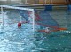 Thumbs/tn_DSC00165.jpg