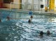 Thumbs/tn_DSC00168.jpg