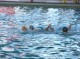 Thumbs/tn_DSC00174.jpg