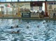 Thumbs/tn_DSC00175.jpg