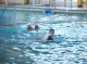 Thumbs/tn_DSC00189.jpg