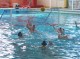Thumbs/tn_DSC00190.jpg