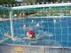 Thumbs/tn_DSC00973.jpg