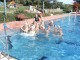 Thumbs/tn_DSC00981.jpg