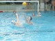 Thumbs/tn_DSC01373.jpg