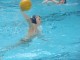 Thumbs/tn_DSC01374.jpg