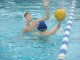 Thumbs/tn_DSC01377.jpg