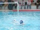 Thumbs/tn_DSC01379.jpg