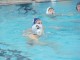 Thumbs/tn_DSC01380.jpg