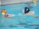 Thumbs/tn_DSC01389.jpg