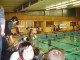 Thumbs/tn_DSC00006.jpg