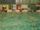 Thumbs/tn_DSC00011.jpg