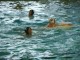 Thumbs/tn_DSC00311.jpg