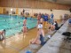 Thumbs/tn_DSC00315.jpg