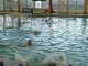 Thumbs/tn_DSC00316.jpg