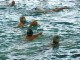 Thumbs/tn_DSC00317.jpg