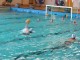 Thumbs/tn_DSC00319.jpg