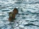 Thumbs/tn_DSC00320.jpg