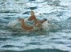 Thumbs/tn_DSC00195.jpg