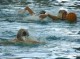 Thumbs/tn_DSC00196.jpg