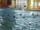 Thumbs/tn_DSC00200.jpg