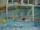 Thumbs/tn_DSC00384.jpg