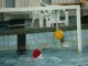 Thumbs/tn_DSC00386.jpg