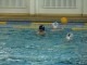 Thumbs/tn_DSC00387.jpg