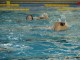 Thumbs/tn_DSC00388.jpg